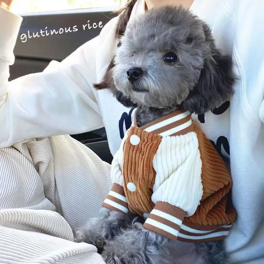 Teddy Chó Nhỏ Thú Cưng Áo Khoác Ấm Áp ins Phong Cách Bóng Chày Đồng Phục Mùa Thu Đông Phong Cách