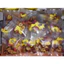 30 Gói Trà Dưỡng Nhan 7 Vị - Ngủ Ngon - Đẹp Da - An Thần