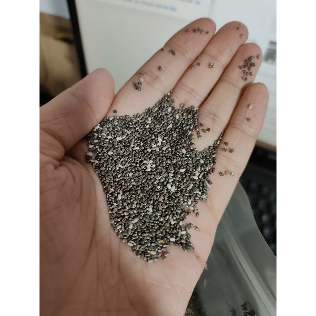 1kg Hạt Chia Úc Triết Từ Hạt Chia Nhập Khẩu Chuẩn Organic -Chất Lượng Sạch Đều Đẹp Ăn Kiêng