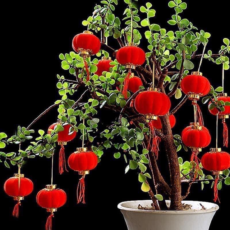 Quả Đèn Lồng Đỏ Bọc Vải Nhung Trang Trí Tết Siêu Đẹp Các Size 3,4,5,6,8,10
