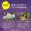 Face Mask LuLuLun One-Night Rescue Moisturizing One-Night C 3K 35mL x 5 packets- Direct from Japan