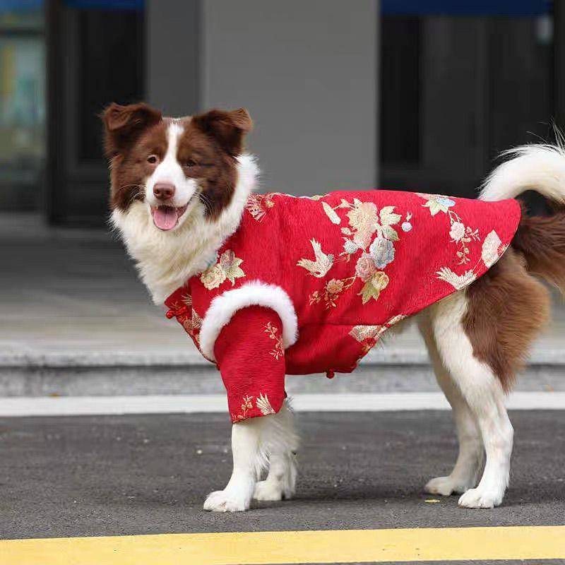 【Ready Stock】 Dog Chinese New Year Clothes Medium Large Dog Golden Retriever Samo Border Collie Thickened Warm Elbow Pad Cotton-Padded Clothes Festive New Year Celebration Tang Suit ANXY
