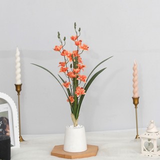 Hoa Lan Giả Vũ Nữ Địa Cao Cấp Trang Trí Nhà Cửa Decor Đẹp Giống Thật 49cm Cành Lụa Để Bàn Phòng Khách Văn Đám Cưới Chụp Ảnh Vintage Hiện Đại Pastel Cam Hồng Vàng Nhạt Bền Màu Không Phai Sang Trọng Phụ Kiện Cắm Bình Quà Tặng Tiểu Cảnh Thẩm Mỹ Nghệ Thuật