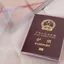 Vỏ hộ chiếu CPINCP, Hộp đựng thẻ ID mờ trong suốt chống thấm nước, Khe cắm thẻ PVC di động Nhiều khe đựng hộ chiếu chống mài mòn