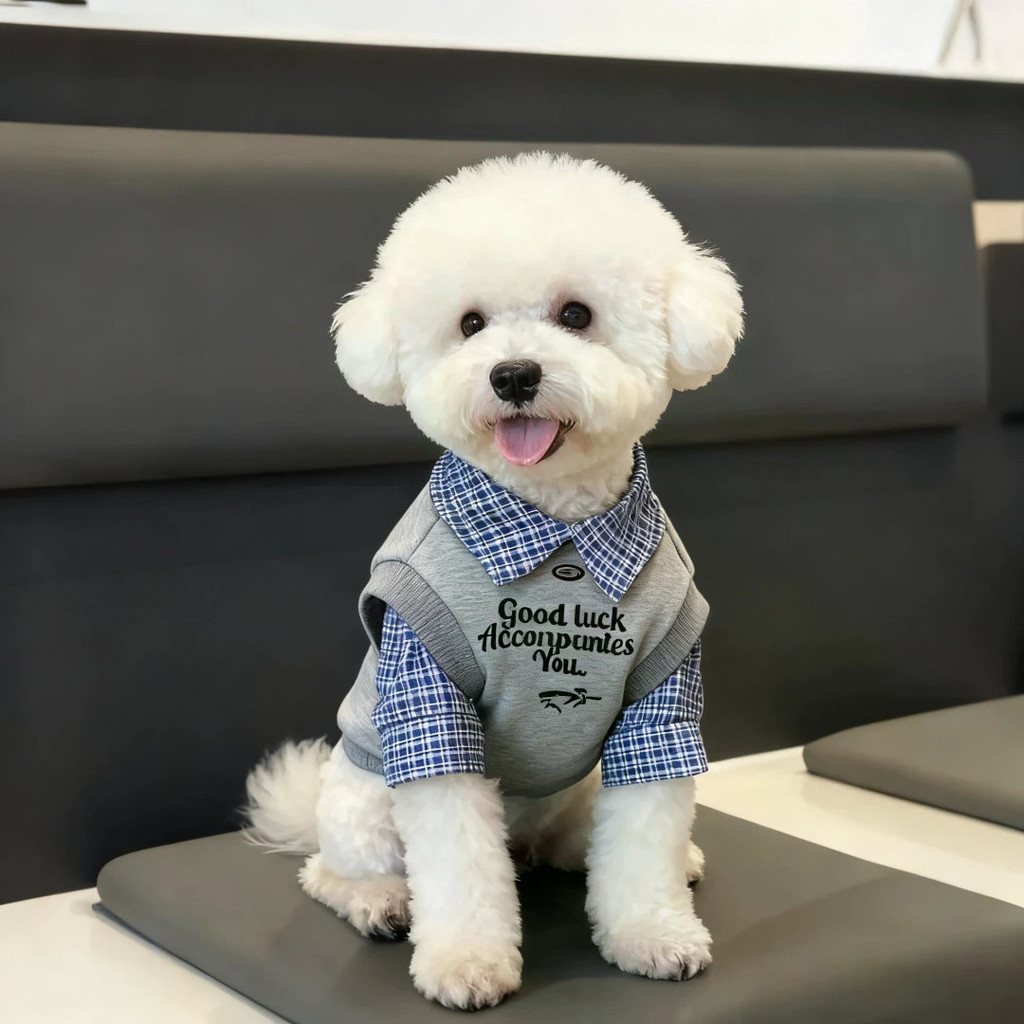 Chó Nhỏ Thu Đông Màu Sắc Phù Hợp Với Phong Cách Polo Quần Áo Thú Cưng Tất Cả Trận Đấu Ấm Áp Hai Chân Quần Áo Cho Chó