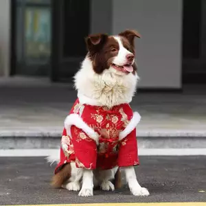 【Ready Stock】 Dog Chinese New Year Clothes Medium Large Dog Golden Retriever Samo Border Collie Thickened Warm Elbow Pad Cotton-Padded Clothes Festive New Year Celebration Tang Suit ANXY