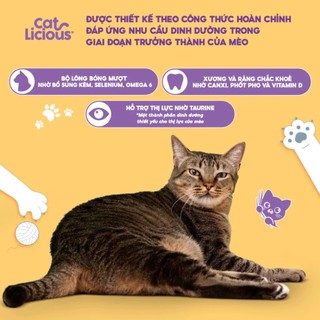 Cat Licious ( 5kg ) Thức ăn hạt khô cho Mèo trưởng thành vị Cá Biển