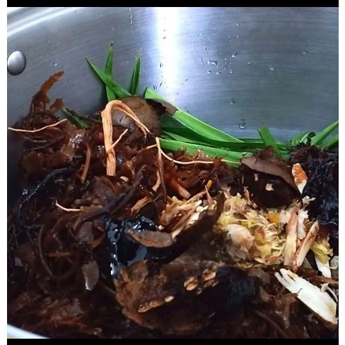 SÂM RONG BIỂN 8 VỊ NTFOOD NẤU 10 LÍT NƯỚC