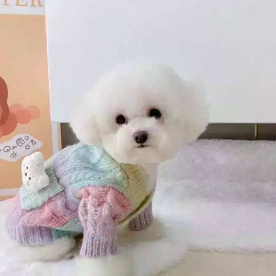 Áo len mùa thu cho thú cưng Teddy / Bichon / Pomeranian / Schnauzer Chó nhỏ