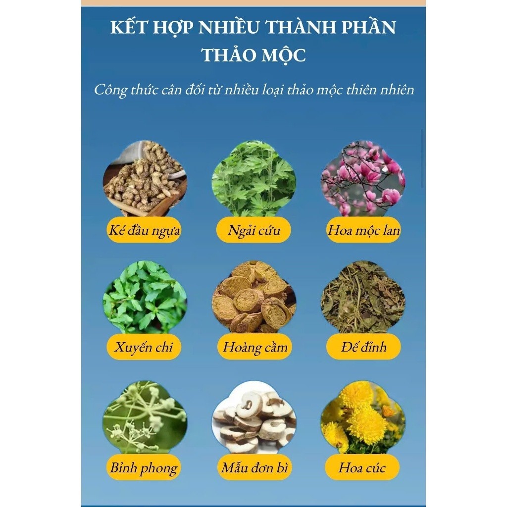 Miếng dán Cang Nhĩ Tử hỗ trợ thông mũi giúp đường thở thoáng hơn và cải thiện hô hấp.