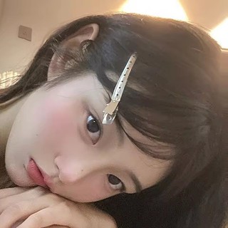 10 / 20 / 30 Chiếc Kim Loại Tóc Salon Cố Định Kẹp - Tóc Lông Tơ Kẹp Tóc Dụng Cụ Làm Tóc