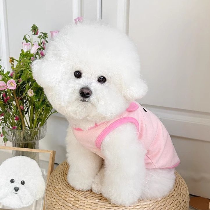 Thú Cưng Chó Mèo Quần Áo Mùa Xuân Thu Đức Nhung Vest Teddy Pomeranian Bichon Yorkshire Chó Nhỏ Chó Con Quần Áo
