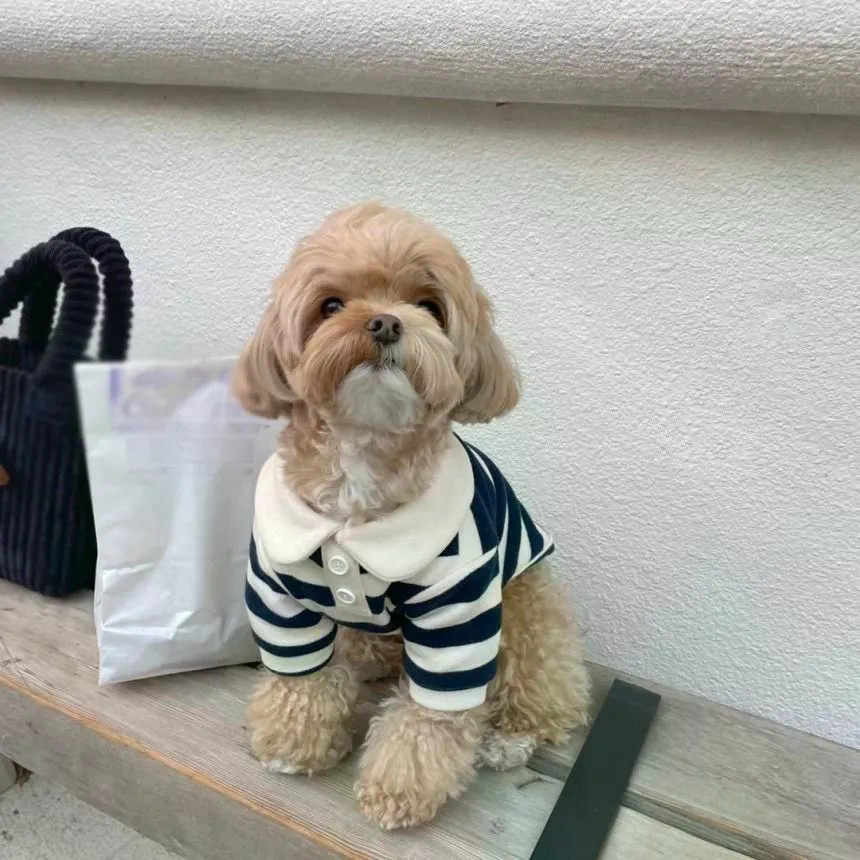 Chó Nhỏ Teddy Áo Len Mùa Đông Mặc Giáng Sinh Bichon Quần Áo Thú Cưng Ấm Áp Phong Cách Dệt Kim