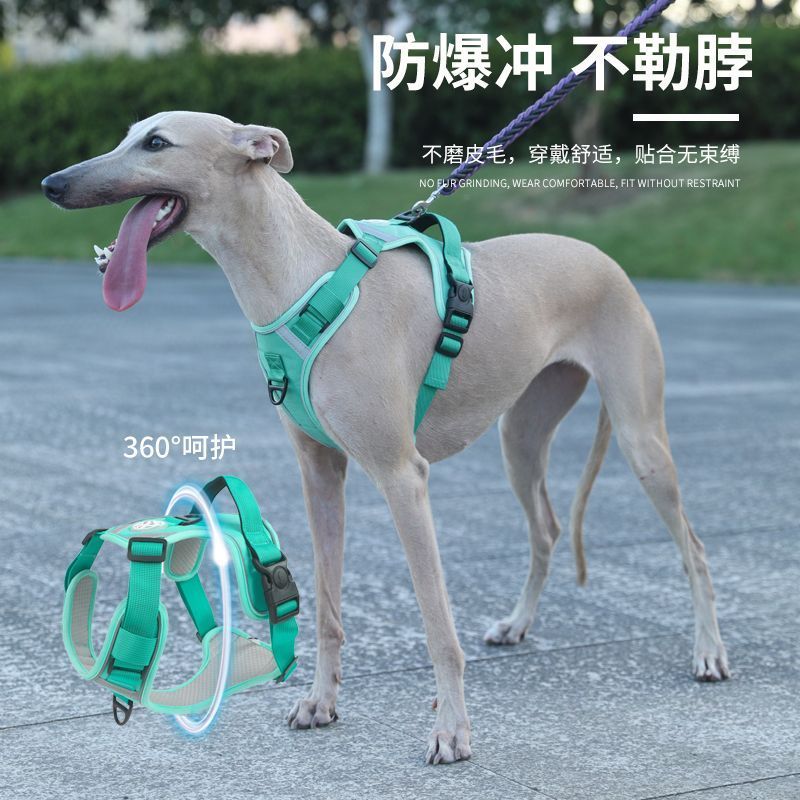 Dây đeo ngực hình chữ I cho chó cỡ lớn An toàn thoáng khí Chống cháy nổ Đấm chống vỡ Đồ dùng cho thú cưng cổ