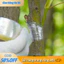 【24h】Cuộn băng keo ghép cành tự dính cao cấp khổ 5cm x 150m đảm bảo độ bám dính tốt và bảo vệ mối ghép hiệu quả