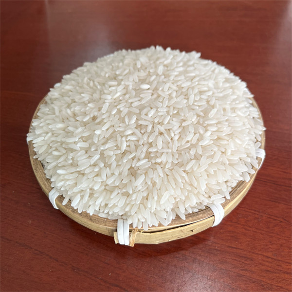 Gạo 504 - Xốp và Nở nhiều, Không dẻo
