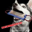 Top Dog Tosing Răng Hàm Đồ Chơi Chó Đào Tạo Răng Hàm Cho Chó Nhỏ Vừa Lớn