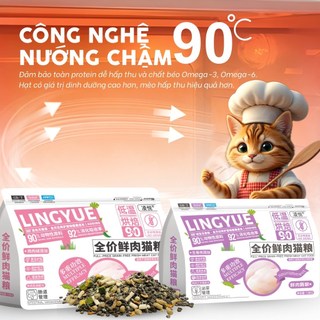 [COMBO] Thức Ăn Hạt Dùng Thử Cho Mèo Túi 40g, Mẫu Hàng Ăn Thử Cho Chó Mèo Túi Nhỏ Nhiều Loại