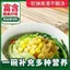 Lá dâu tằm đắng bầu Cần tây Mì đường Bạn bè Bữa ăn thay thế Bữa sáng Trái cây xanh Rau thô Hạt nguyên chất Handmade Multigrain Mì ăn liền 26.5.1