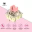 10 Bàn Phím Màu Hồng V2 Bàn Phím Cơ Mạ Bạc 10 Chiếc Bàn Phím Màu Hồng