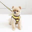 Dây đi bộ cho chó Lưới thoáng khí Teddy Pomeranian