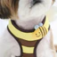 Dây đi bộ cho chó Lưới thoáng khí Teddy Pomeranian