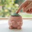 Linh hồn| Chậu Hoa Mini Trang Trí Cây Chữa Bệnh Trang Trí 3d In Hình Ấm Hoa Dễ Thương Trang Trí Bền Pla Để Bàn Giá Đỡ Thực Vật Cho Mọng Nước Trang Trí Văn Phòng Nhà Cho Đông Nam