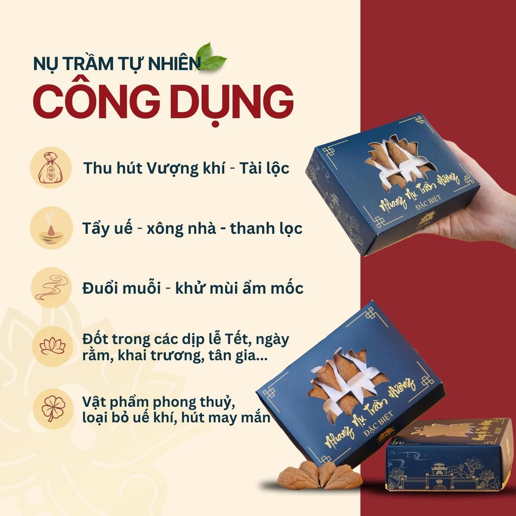 3 Hộp Nụ Trầm Hương Liên Hoa 72 Nụ [MUA 3 TẶNG 3]| Trầm Nụ Xông Nhà, Khử Mùi, Tẩy Uế | Trầm Tự Nhiên