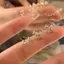 4 Bông Tai Thả Xuyên Cho Nữ Sụn Tai Xuyên Bông Tai Pha Lê Kim Cương Giả Sáng Tạo Bông Tai Thời Trang [Mina]
