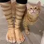 Hình Thú 3D Ngộ nghĩnh Paw Sos Dành Cho Nữ Mới Lạ Hổ Mèo Chó Giữa Ống Stoings Chân Sáng Tạo In Sos Quà Tặng Mới