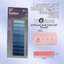 GETVOW 6 Miếng Ghi Nhớ Chỉ Số, Thước Đánh Dấu Trang Nhãn Dán Chỉ Số PET, Sáng Tạo Trong Suốt Màu Morandi Giấy Dán Giấy Ghi Chú Đồ Dùng Văn Phòng