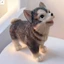 Đáng Yêu Chó Husky Nhựa Tượng Chống Thấm Nước Nhựa Động Vật Điêu Khắc Để Trang Trí Kệ Phòng Khách