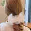 Organza Scrunchies Nữ Co Giãn Tóc Hàn Quốc Thanh Lịch Đuôi Ngựa Giá Đỡ Cao Su Dây Buộc Phụ Kiện Tóc