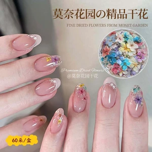 Monet Làm Móng Tay Hoa Khô Màu Sắc Phù Hợp Với Tranh Sơn Dầu Phong Cách Nhật Bản Cánh Hoa Hỗn Hợp Móng Tay Hoa Trang Sức