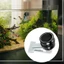 Kẹp cho ăn tảo biển từ tính hàng đầu cho bể cá Môi trường lành mạnh Kẹp cho bể cá Phụ kiện cho ăn rau củ