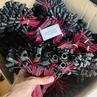 Đui đèn T10, chân đèn T10, cắm demi lắp mặt đồng hồ, xi nhan, biển số, đèn trần DC 12v-24v