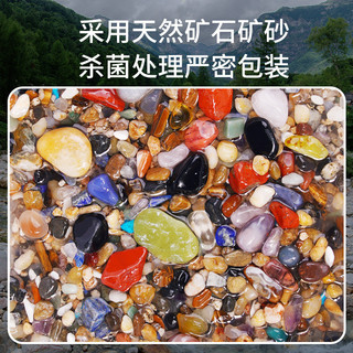 Taosa Bộ Đồ Chơi Taosa Ore Shell Hunter Khảo Cổ Đào Pha Lê Kho Báu Đá Quý Hộp Bí Mật Xếp Hình Vui Nhộn 26.. 19 LPUA