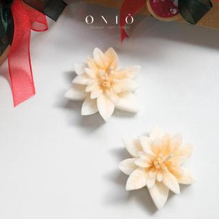 Set quà tặng Giáng sinh "CHRISTMAS DELIGHTS"