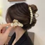 Thu Đông Sang Trọng Opal Lấy Kẹp Đầu Cá Mập Kẹp Hợp Kim Lớn Vừa Kim Loại Kẹp Mũ Đội Đầu Nữ