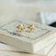 Nhẫn nữ zircon hình bướm xanh tươi khí chất thời trang cá tính và đa năng