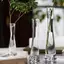 Luckyew Thủy Tinh Trong Suốt Bình Hoa Nhỏ Thủy Canh Cây Hoa Terrarium Phòng Sang Trọng Bàn Trang Trí Nhà Tiệc Cưới TQ