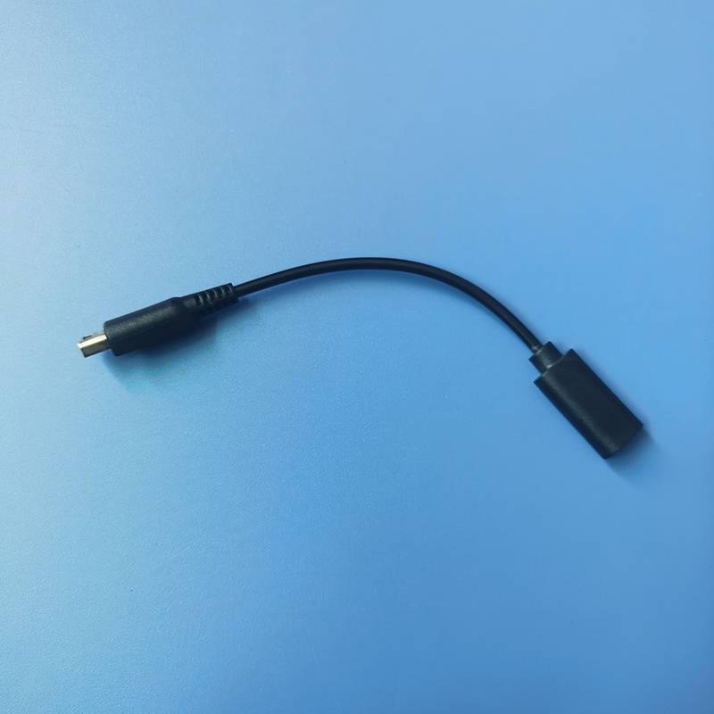 < WHPHous-t > Cáp sạc USB C bảng điều khiển trò chơi Loại C cho NDSI 3DS 2DS XL LL Mới 3DSXL 2DSXL Sạc nhỏ gọn và di động Đẹp