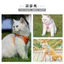 Hàng sẵn có Dây đeo ngực Dây xích chó Teddy Bichon Pomeranian Chó nhỏ Vest Phong cách Dây chuyền chó con Chó con Chó đi bộ Dây xích chó