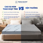 Nệm cao su non than hoạt tính kết hợp với Memory foam cao cấp, kháng khuẩn, chống nấm mốc, bảo vệ sức khỏe, đệm cao su — ảnh 5
