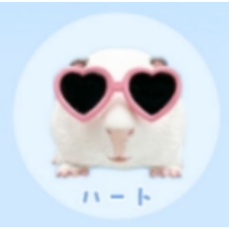 [BTF] Hàng có sẵn Nhật Bản Qitan Gashapon Kính râm Guinea Pig Guinea Pig Hamster Bán thứ hai dễ thương K8F3