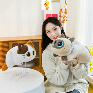 PLUS✨Dễ Thương Mèo Sang Trọng Đồ Chơi Mềm, Gối Kitty, Búp Bê Đi Kèm, Quà Tặng Bạn Gái, Giáng Sinh, COD