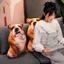 THEGIRL8B Gối Nhồi Bông Cho Chó, Labrador Corgi Shiba Inu Bulldog Đồ Chơi Sang Trọng Cho Chó, Quà Tặng Người Yêu Thú Cưng Trang Trí Nhà Sofa Như Thật Phòng Ngủ Đệm Chó Thú Nhồi Bông