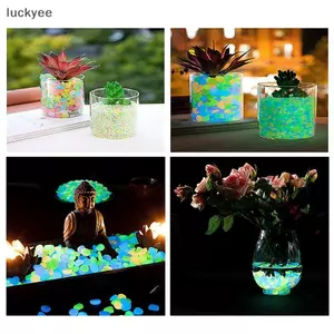 Luckyew 100 Chiếc Trang Trí Sân Vườn Đá Dạ Quang Phát Sáng Trong Bóng Tối Trang Trí Sỏi Ngoài Trời Cá Trang Trí Bể Cá Phụ Kiện TQ