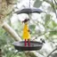 JCSYFAC Treo Chim Ăn Cho Ngoài Trời Cô Gái Và Ô Chim Ruồi Khay Ăn Bên Ngoài Cho Chim Tắm Trang Trí Sân Trang Trí Mới