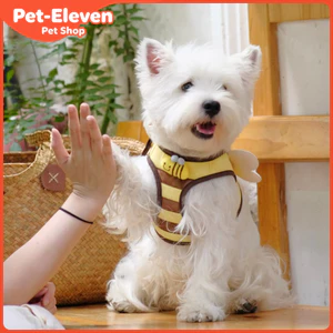 Dây đi bộ cho chó Lưới thoáng khí Teddy Pomeranian